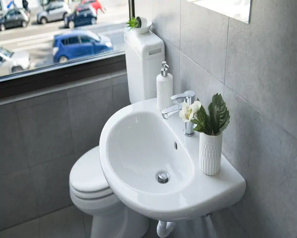 Bright, modern bathroom sink and toilet by a window with decorative soap dispenser and plant accents.