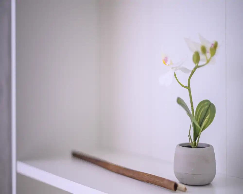 Close-up of a decorative potted orchid placed on a white shelf. The minimal, bright composition highlights the plant as an accent piece in a clean, modern interior.