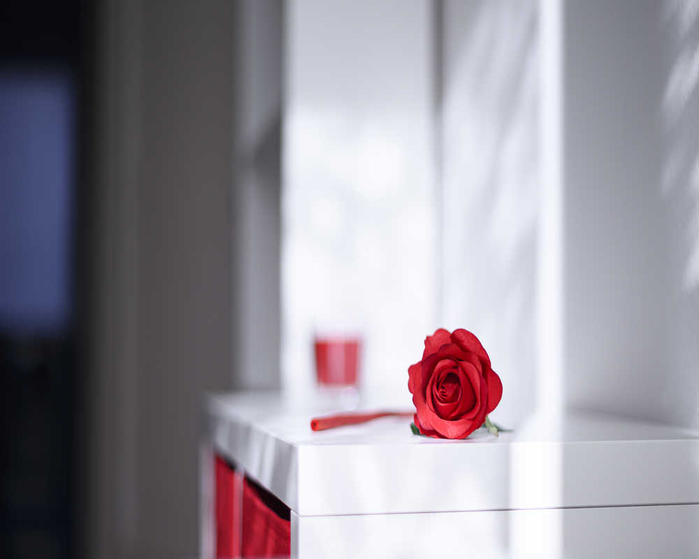 Single room Milano, 8 beds, 16.04m² — photo 53