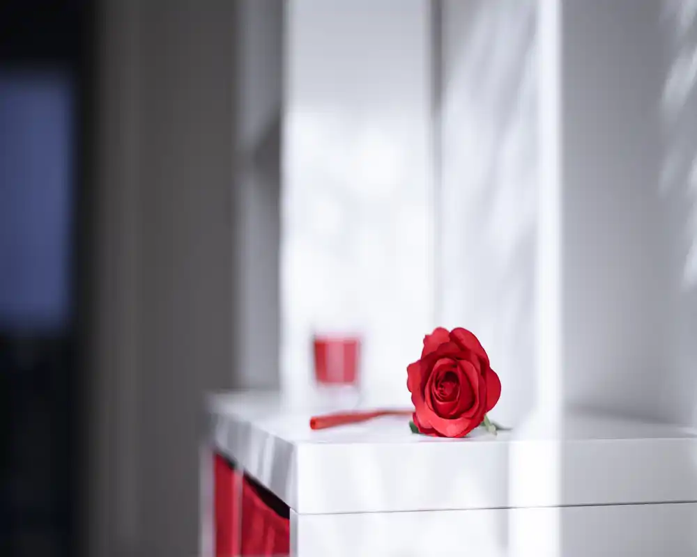 Rincón luminoso y minimalista con una rosa roja sobre un mueble blanco, luz natural suave y un estilo limpio y moderno — ideal como detalle acogedor en un salón.