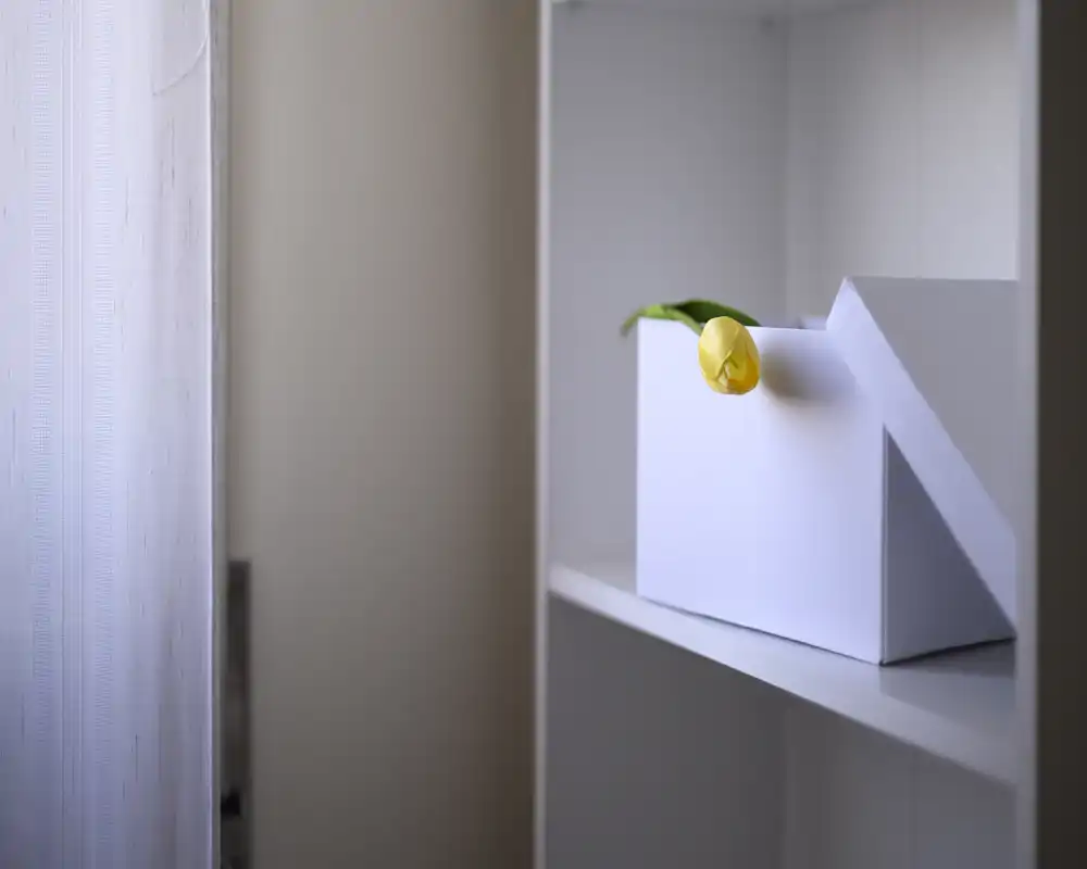 Scatto dettagliato e minimale di una mensola con una scatola bianca e un tulipano giallo; toni neutri e luce morbida creano un'immagine decorativa che non mostra chiaramente il tipo di stanza.