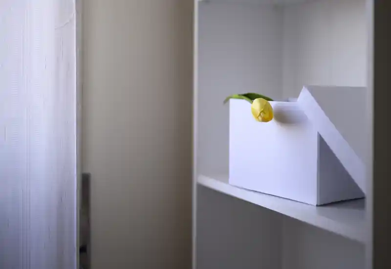 Gros plan minimaliste d'une étagère ou d'un placard blanc avec une petite boîte blanche et une tulipe jaune, photographié sur un fond neutre et un rideau léger.