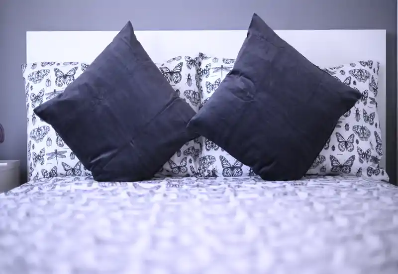 Chambre lumineuse et stylée en gros plan montrant le lit avec linge à motifs et deux grands coussins décoratifs pour une ambiance cosy et moderne.