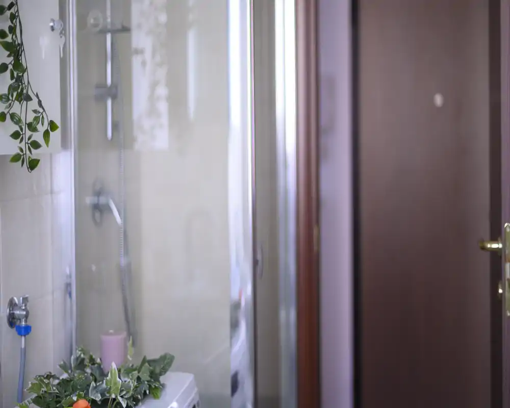 Small bathroom view showing a shower enclosure, fixtures and decorative plants; bright, tidy and simply styled.