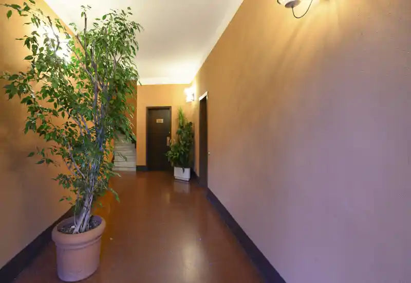 Well-lit building corridor/entrance with potted plants, polished floor and a doorway at the far end — a tidy communal entry hall.