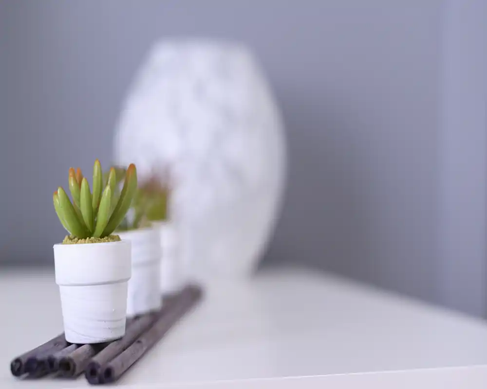 Plano cercano de pequeñas suculentas decorativas en macetas blancas sobre una superficie con fondo desenfocado. La imagen destaca el detalle decorativo más que una estancia concreta.