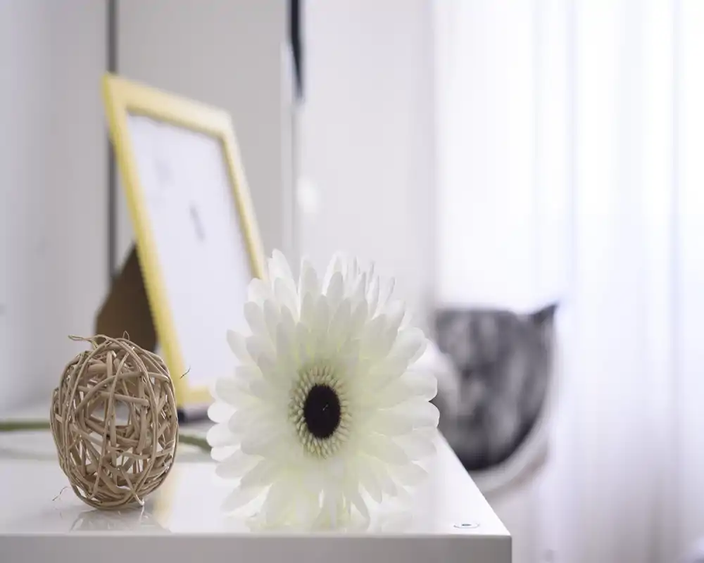 Detalle luminoso de una sala de estar minimalista con una flor blanca decorativa y una bola trenzada sobre una superficie brillante; luz natural suave y fondo desenfocado que sugieren un interior moderno y sereno.