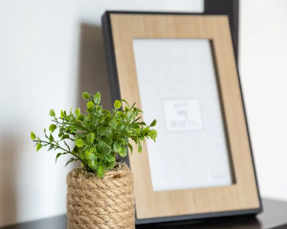 Gros plan d'une plante décorative en pot entouré de corde à côté d'un cadre photo en bois sur une surface ; image axée sur le décor, pratique pour illustrer la mise en scène mais pas une pièce.