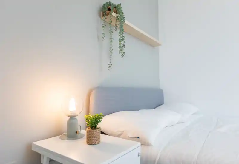 Bright, minimalist bedroom with a soft upholstered headboard, white bedding, a bedside table with a lamp and small plants — a calm, welcoming sleeping area.