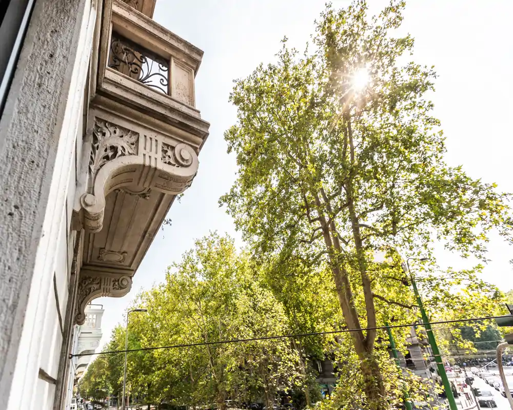 Vista soleggiata dalla balconata di un edificio con balaustra in pietra decorata e grandi alberi frondosi, luce naturale intensa e paesaggio urbano alberato.