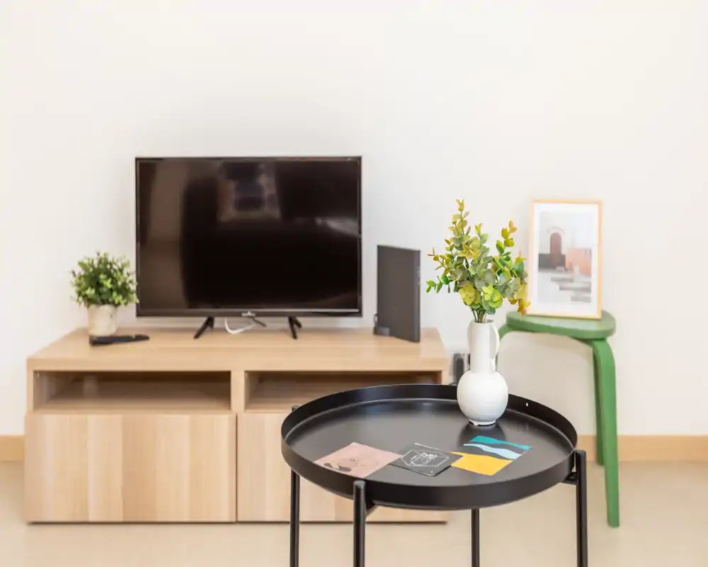 Bright, minimalist living area with a TV on a light wood media console, a decorative vase on a round black tray table and small accent furniture.
