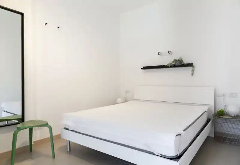 Minimalist, bright bedroom with a white double bed, bedside lighting and simple decorative plants. The room feels clean and modern with ample natural light and uncluttered surfaces.
