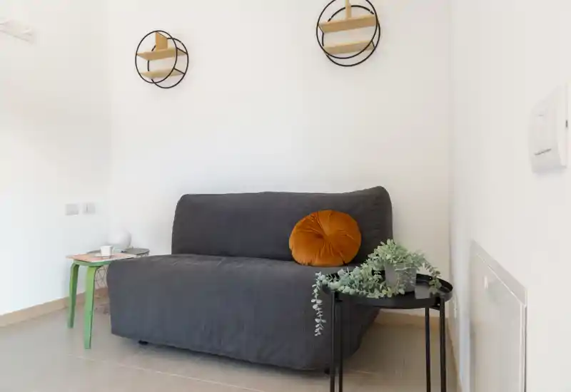 Cozy small living area with a dark upholstered two-seater sofa, a round orange decorative cushion, side tables and a potted trailing plant — bright, minimal and neatly styled.