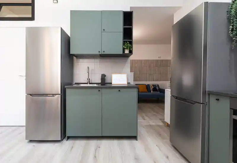 Compact modern kitchen with matte green cabinetry, stainless-steel refrigerators and a built-in sink; bright, clean finishes and a tidy countertop create an inviting cooking space.
