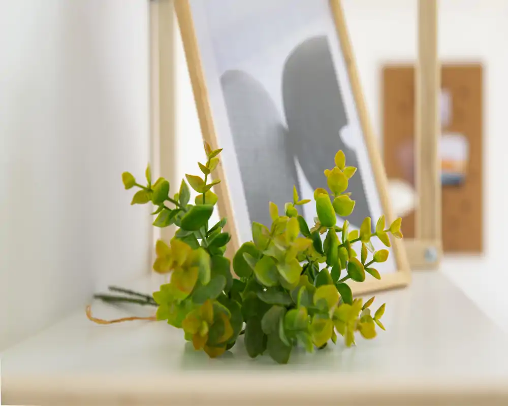 Close-up of a small decorative green plant on a white shelf with a blurred framed print behind it — a detail shot useful for styling and decor-focused listings.