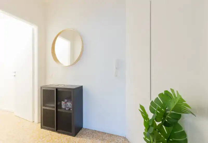 Bright, minimal entryway with a round wall mirror, a small black storage cabinet and a decorative plant — clean and welcoming first impression.