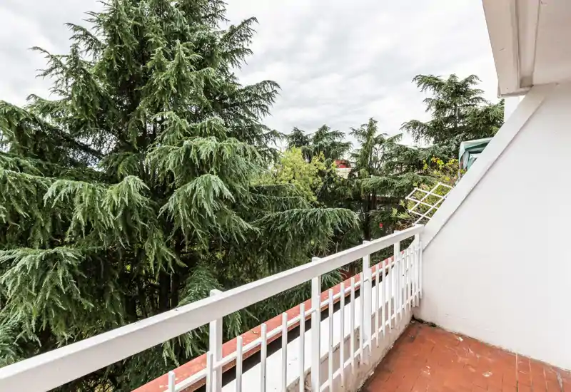 Sunny private balcony with white railing overlooking tall evergreen trees — ideal for morning coffee or relaxing outdoors.