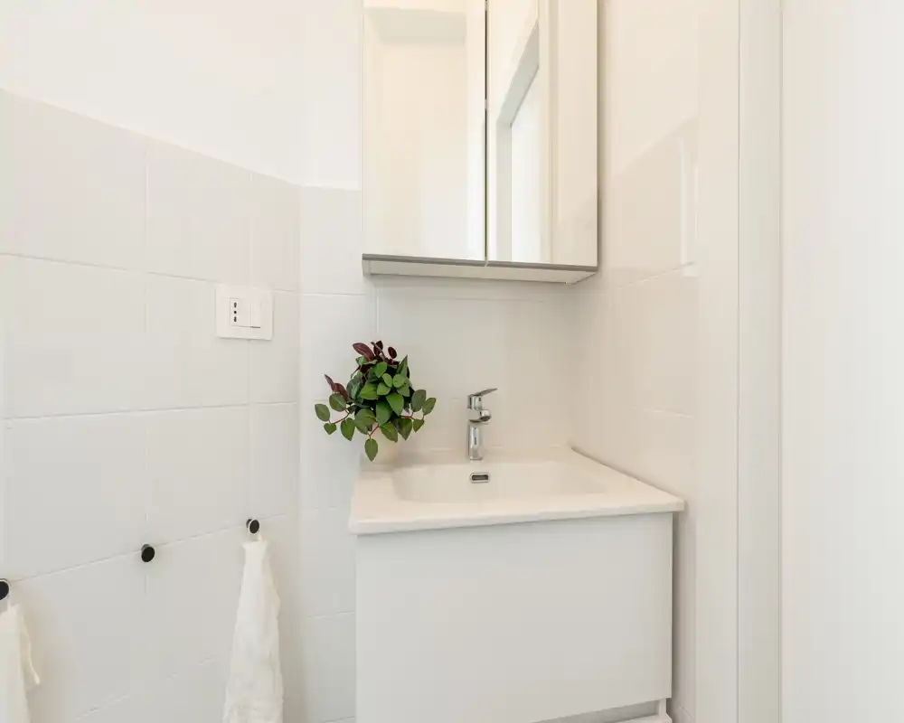 Petit coin salle de bain moderne avec lavabo sur meuble compact, armoire miroir murale et plante décorative ; carrelage blanc et robinetterie chromée pour une atmosphère fraîche et nette.