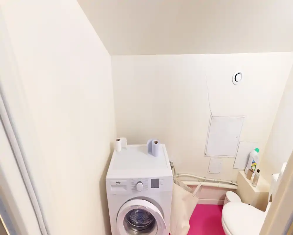 Small bathroom with integrated laundry: front-loading washing machine next to a toilet, bright white walls and pink floor mat, compact and functional space.