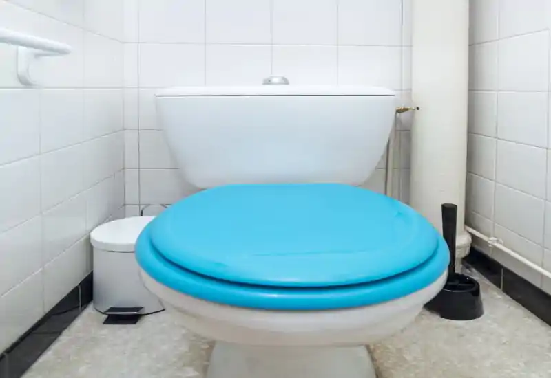Vue compacte de la salle de bain centrée sur des toilettes avec abattant bleu vif, carrelage mural, petite poubelle et brosse — propre et bien éclairée.