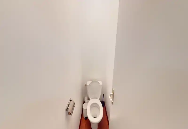 Petit WC avec murs blancs et sol en bois ; WC standard, brosse et petite poubelle.