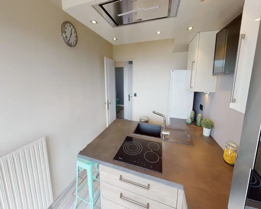 Modern compact kitchen with an island counter featuring an induction hob and integrated sink, white cabinets and small decorative plants for a fresh, tidy look.