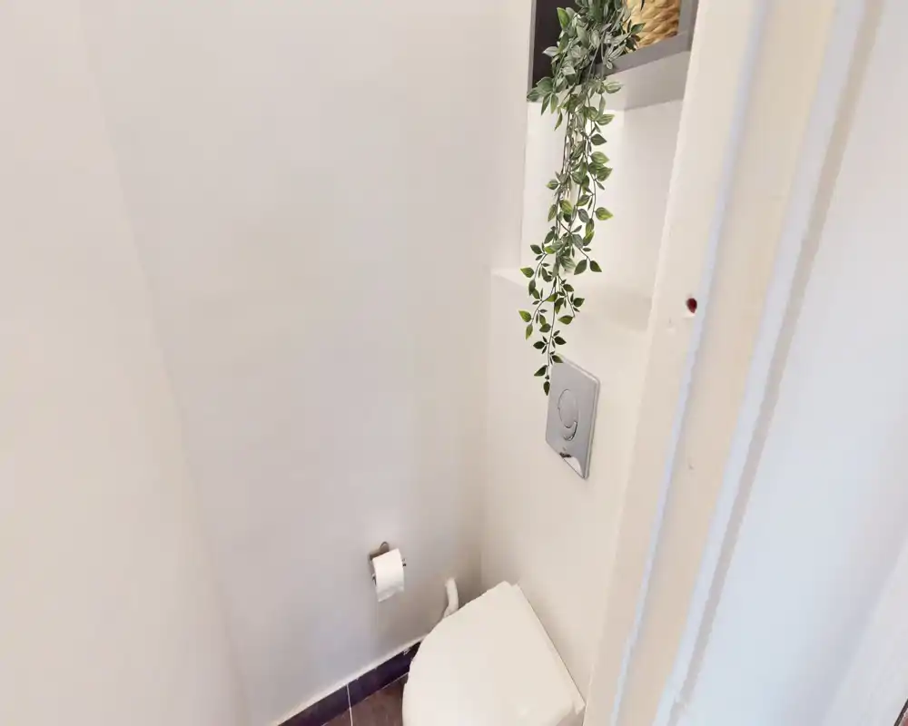 Compact bathroom with a wall-mounted flush plate, toilet and a decorative hanging plant; bright white walls and tidy presentation.