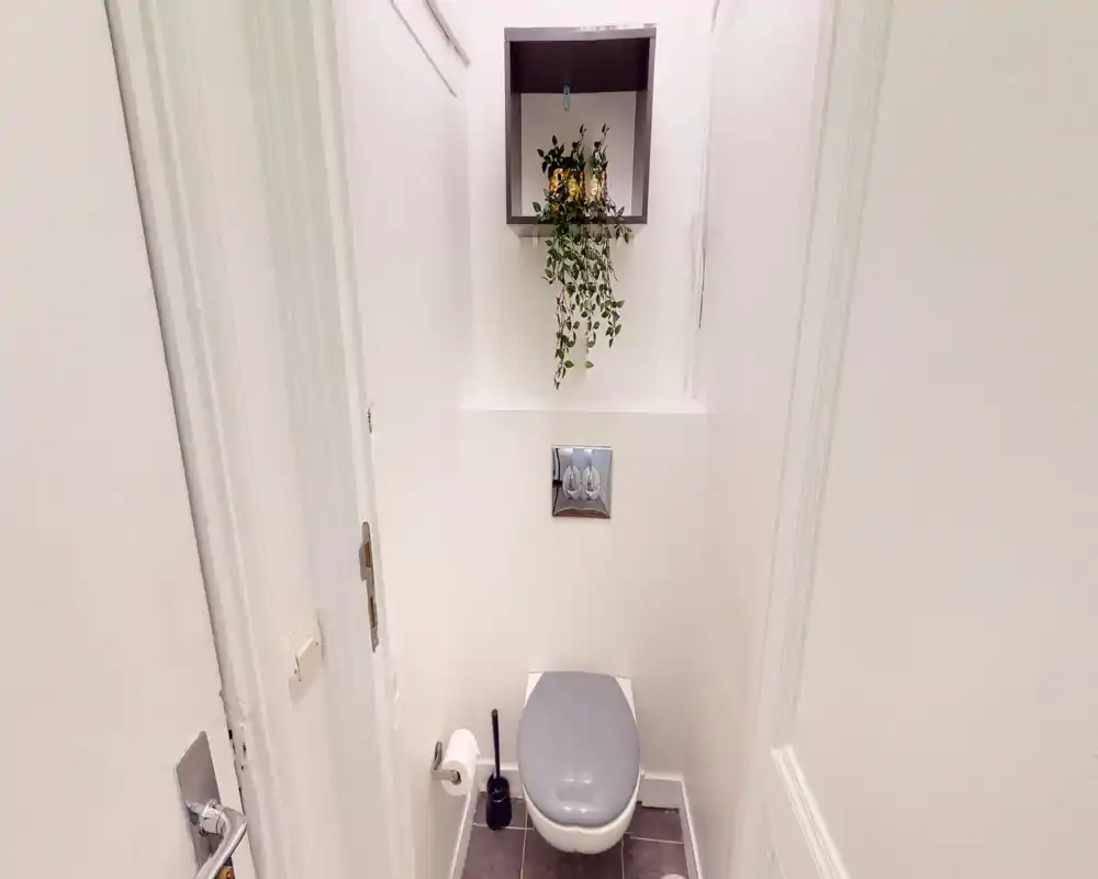 Compact, clean toilet room with wall-mounted flush plate, hanging shelf and a small potted trailing plant above the WC.