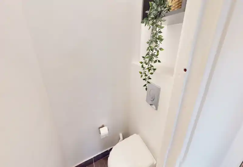 Compact bathroom with a wall-mounted flush plate, toilet and a decorative hanging plant; bright white walls and tidy presentation.