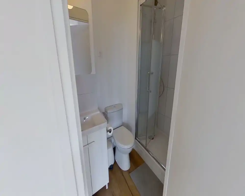 Compact, modern bathroom with a sink and vanity, toilet and a glass-enclosed shower. Light neutral finishes and wood-look flooring create a clean, practical space.