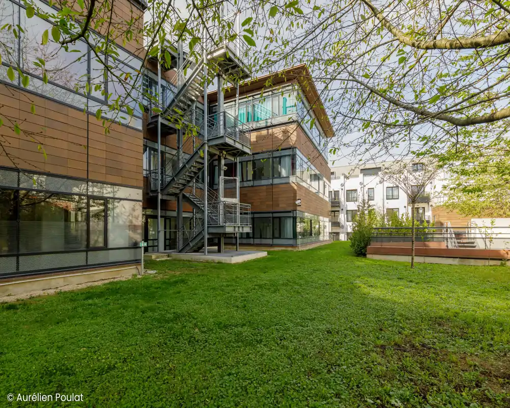 Cortile esterno con prato, alberi e palazzi circostanti — uno spazio verde condominiale adatto al relax.