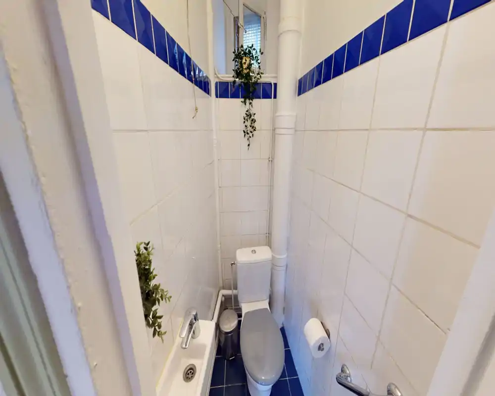 Petite salle de bain carrelée avec WC, petit lavabo et plantes décoratives ; carrelage blanc à bandeaux bleus, lumineuse et fonctionnelle pour un petit appartement.