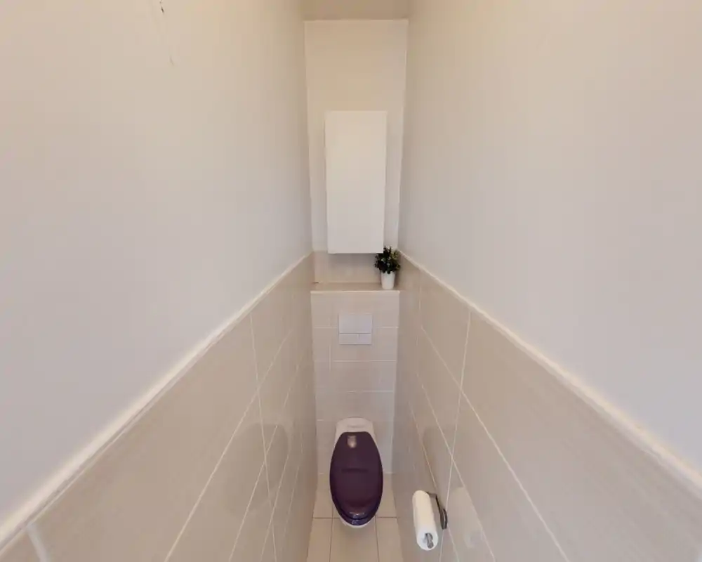 Compact, well-lit toilet with beige tiles and a purple toilet seat; wall-mounted flush and a small plant on a shelf add a tidy touch.