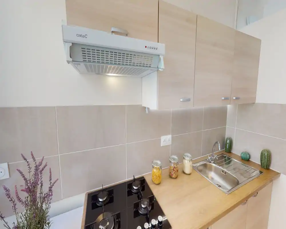 Compact, modern kitchen with a built-in gas hob, stainless-steel sink and light wood cabinets. Decorative jars and small plants add a welcoming touch.
