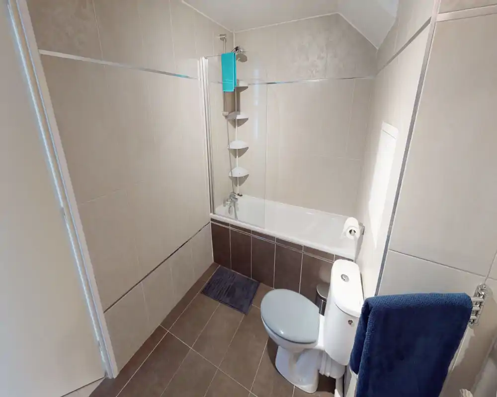 Salle de bain moderne et propre avec baignoire et douche, murs et sol carrelés, toilette et porte-serviettes — lumineux et bien entretenu.