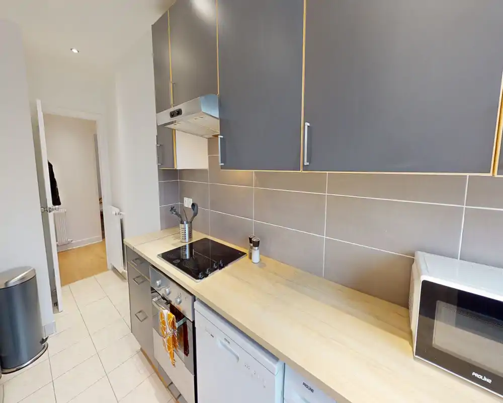 Cuisine moderne et compacte avec des placards gris, une crédence carrelée et un plan de travail en bois clair. Équipée d'une plaque à induction, d'un four, d'un micro-ondes et d'un lave-vaisselle, idéale pour préparer des repas facilement.