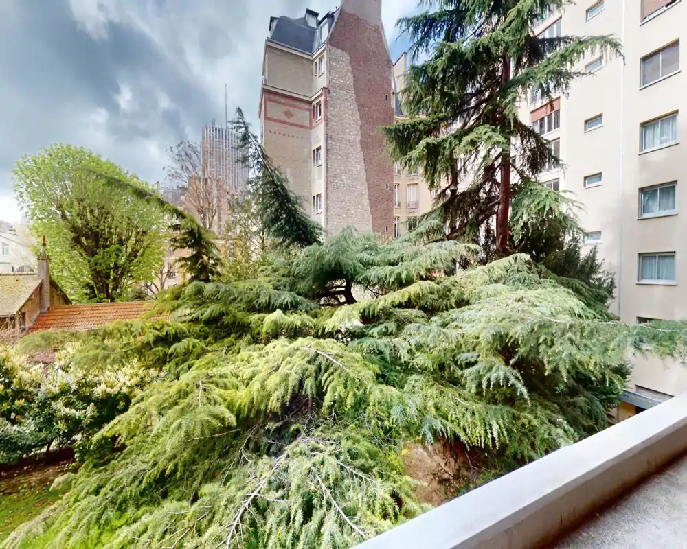 Balcony view overlooking lush evergreen trees and neighboring buildings — a private green outlook in the city, with a small balcony ledge in the foreground.