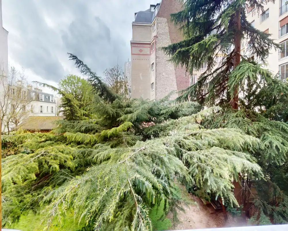 Vista sul giardino con alberi sempreverdi maturi che offrono un riservato affaccio verde, con edifici vicini sullo sfondo.
