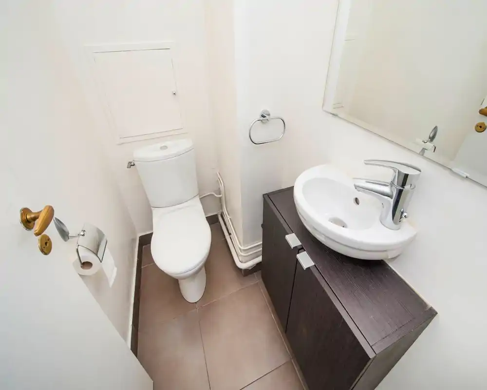 Compact, well-lit bathroom with a white toilet, a small sink on a dark wood vanity and a wall mirror above. Neutral tiles and clean lines give a practical, tidy feel.