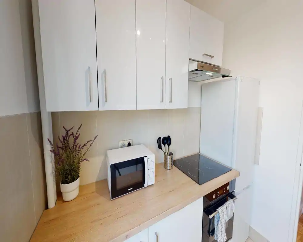 Modern compact kitchen with white cabinets, induction hob, microwave and fridge, presented on a clean wooden countertop with a small decorative plant.
