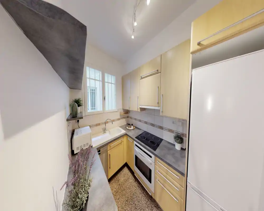Cocina compacta y moderna con muebles de madera clara, placa eléctrica y horno integrado. Zona de trabajo luminosa y ordenada con fregadero junto a la ventana y plantas decorativas que aportan calidez.