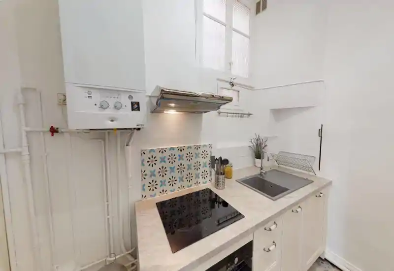Compact, bright kitchen with a built-in induction hob, stainless extractor hood and a sink set into a light stone countertop. Decorative patterned tile splashback and small plant add character to the neat workspace.