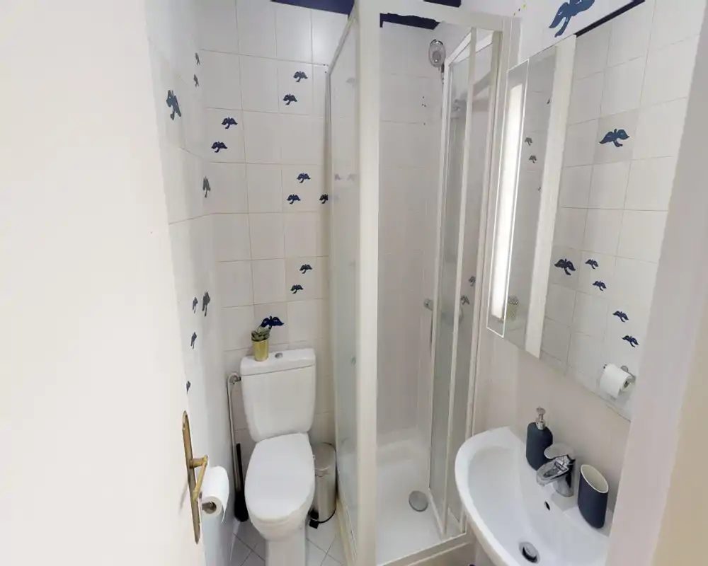 Compact, well-lit bathroom with a toilet, corner shower with glass doors, and a small sink with mirror and accessories.
