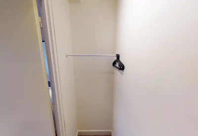 Small walk-in closet/entry closet with a single hanging rod and a few hangers; clean neutral walls and natural overhead light.
