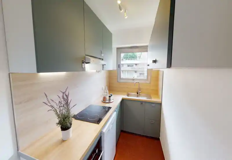 Well-lit compact kitchen with matte cabinets, wooden countertops, an electric hob and a sink under a window; styled with a small plant and jars.