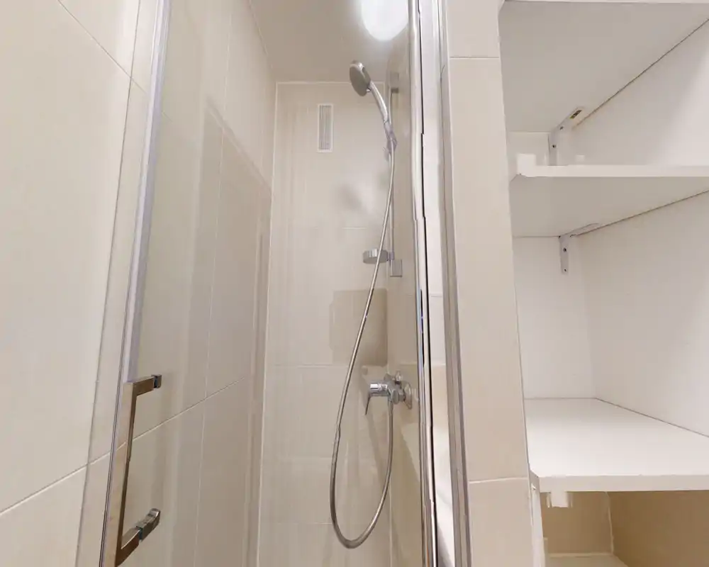 Douche moderne compacte avec porte en verre et douchette à main ; étagères intégrées visibles à côté de la cabine.