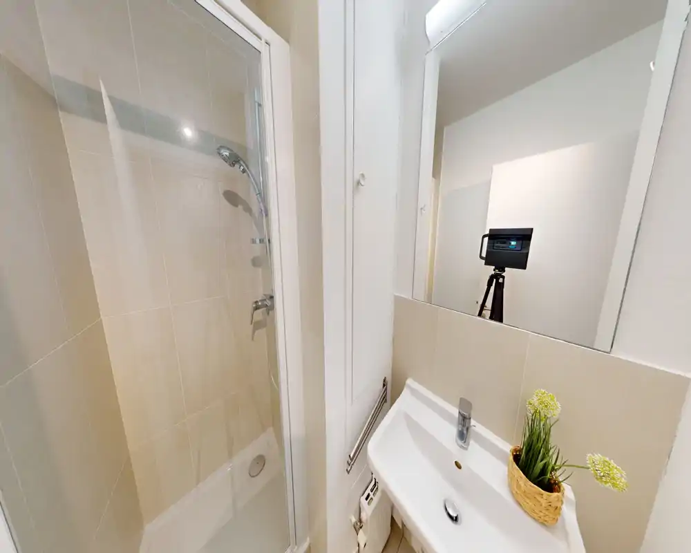 Salle de bain compacte et bien éclairée avec douche fermée, lavabo et miroir ; carrelage neutre et petite plante décorative pour une touche fraîche.
