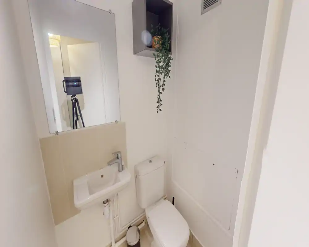 Compact, well-lit bathroom with a wall-mounted mirror, small sink and a close-coupled toilet. Neutral tiles and a hanging plant add a simple decorative touch.