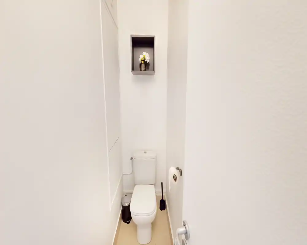 Compact, well-lit toilet room with a standard WC, toilet brush and small wall shelf with decorative plant — ideal as a guest WC.