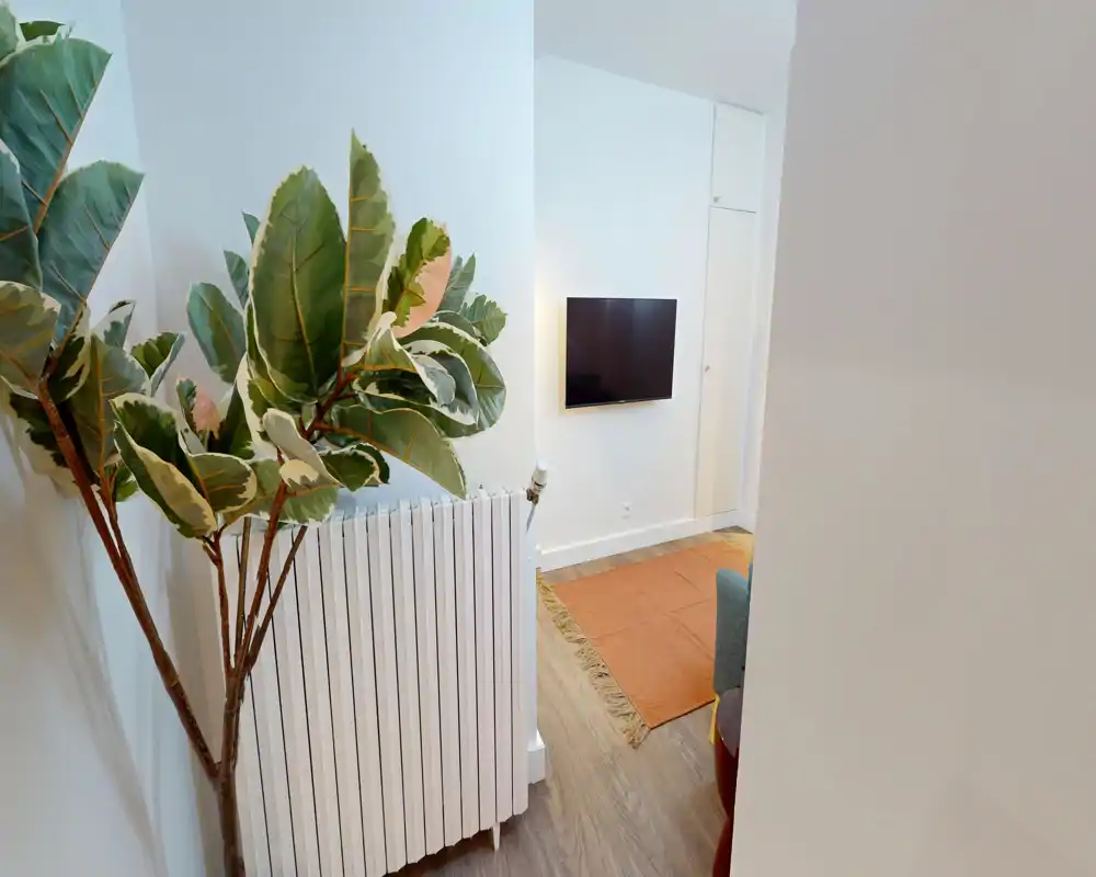 Vue d'un salon moderne et lumineux avec télévision murale, parquet, tapis décoratif et une plante au premier plan.